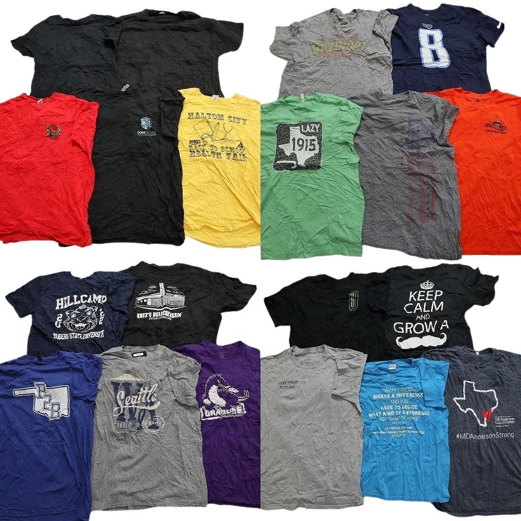 古着卸 まとめ売り カラーmix プリント 半袖Tシャツ 20枚セット (メンズ L ) プロチーム タイタンズ NFL ワンポイント 中古 古着 MY7384