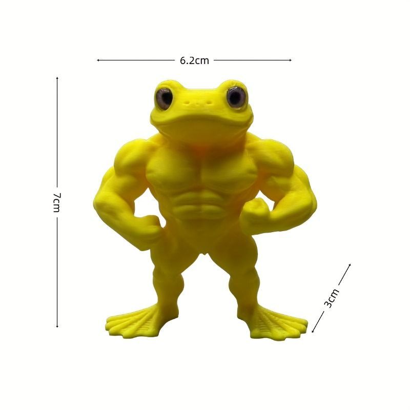 カエルの筋肉フィギュア 3個セット 動物 生物 立体図鑑 フロッグボックス / カロラータ オンラインショップ