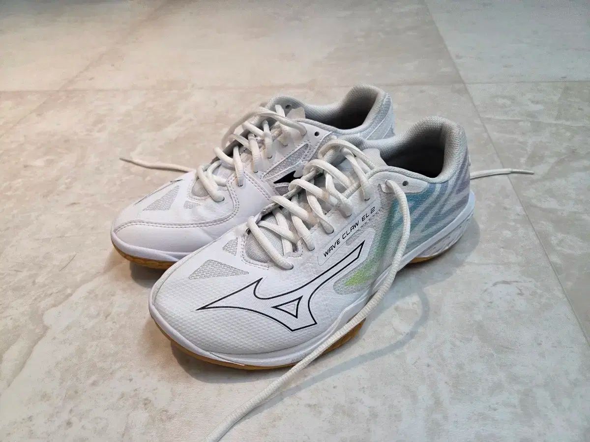 Mizuno WAVE FANG PRO バドミントンシューズ 23.5 ミズノ ウェーブ