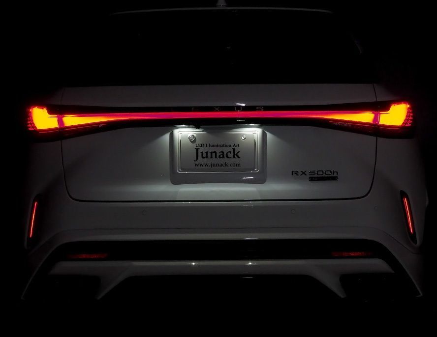 RX500h 2025.11-