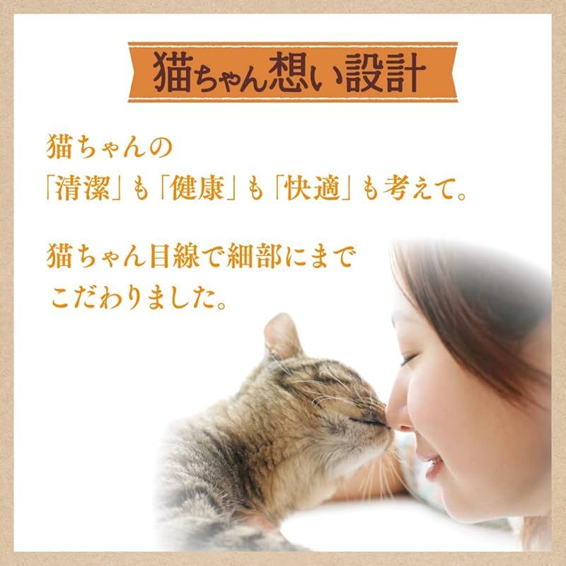 比重 がひと目でわかる