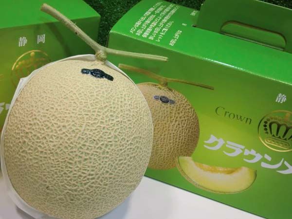 品ではございません
