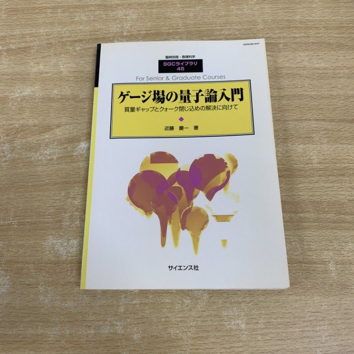 SGCライブラリ 45 ゲージ場の量子論入門（臨時別冊・数理科学） SGCライブラリ1 カオスと量子物理学 パラダイムの交差点に挑む