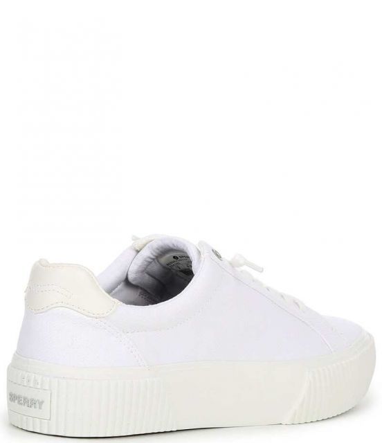 【送料無料】 スペリー レディース カジュアルパンツ ボトムス Women's Bermuda LTT Canvas Platform Sneakers White