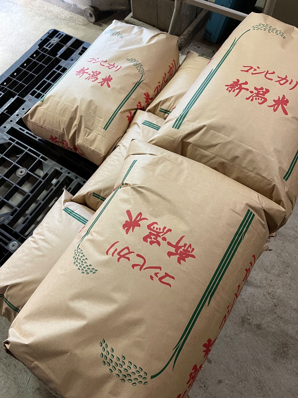 令和７年新潟産コシヒカリ　玄米20Kg 令和7年産】コシヒカリ 20kg（玄米）豊かな甘みと強い粘り！自家製 米・雑穀・粉類