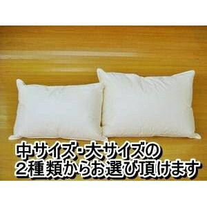 大サイズ