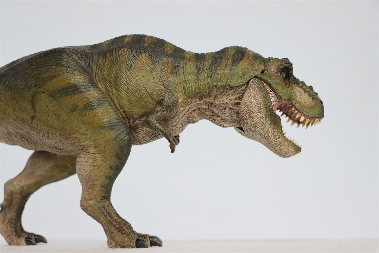 Nanmu 永遠の王 ティラノサウルス レックス King 恐竜 フィギュア模型