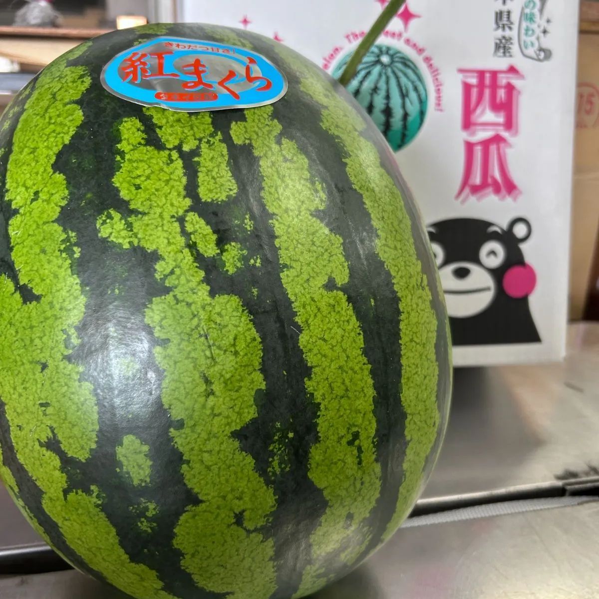 植木
