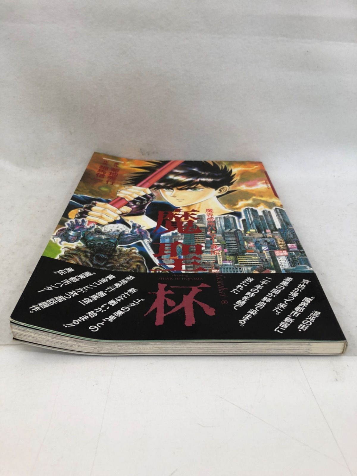魔界都市異伝 魔聖杯 大型本 漫画 菊地秀行 - メルカリ