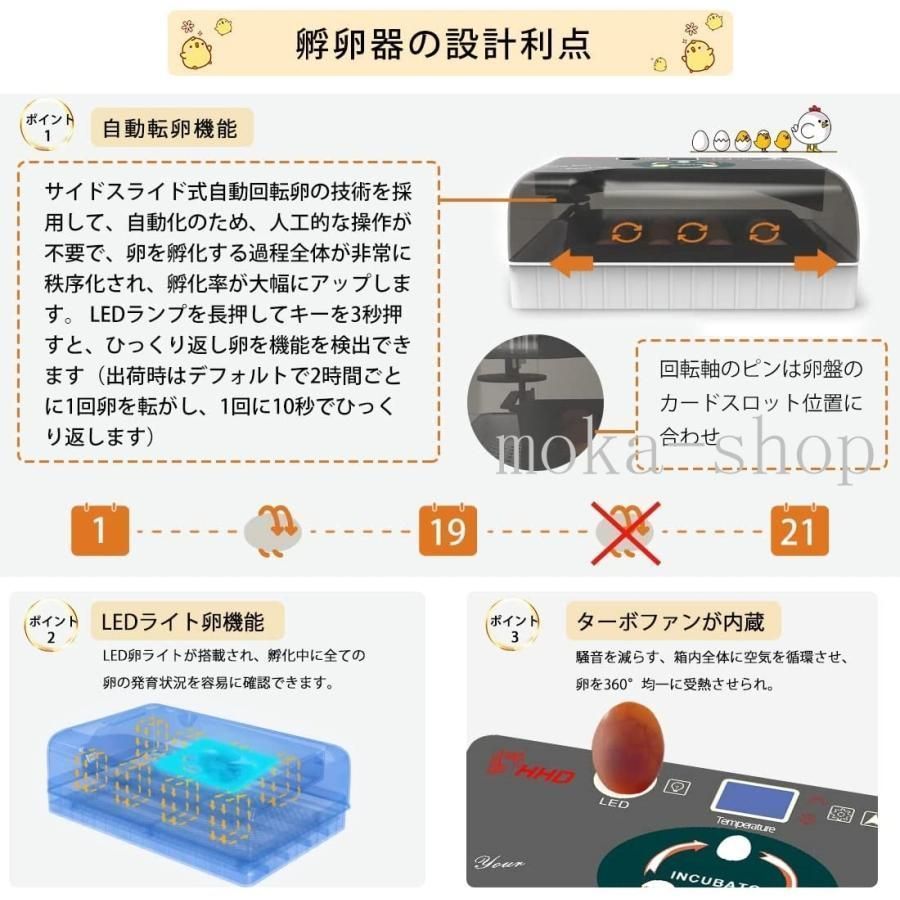 鴨