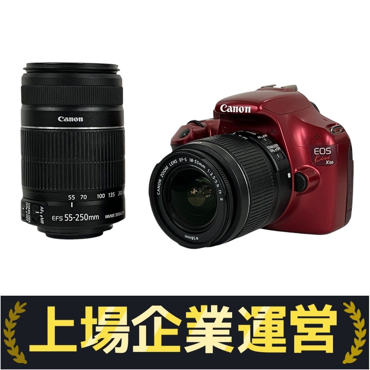 canon EOS kiss X50  【ジャンク品】 Canon EOS Kiss X50 ボディ EF ダブルズームキット キャノン