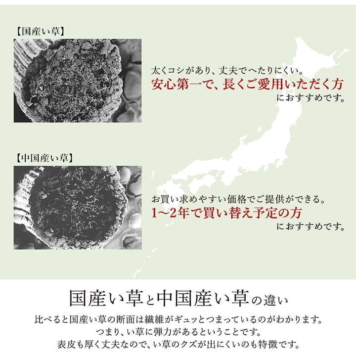い草ラグ