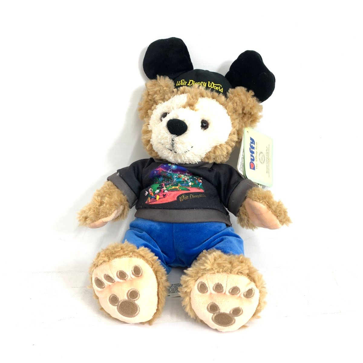 ディズニーワールド　レアダッフィー Disney ディズニー ダッフィー ウォルトディズニーワールド ぬいぐるみ