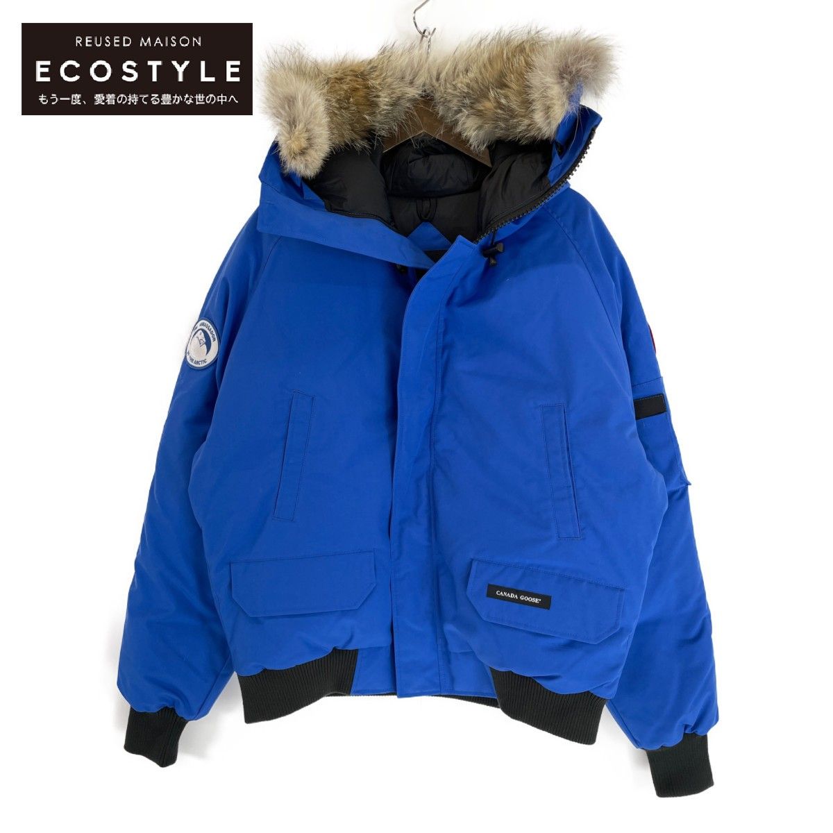 CANADA GOOSE カナダグース ロイヤルブルー ×PBI 7999MPB チリワック