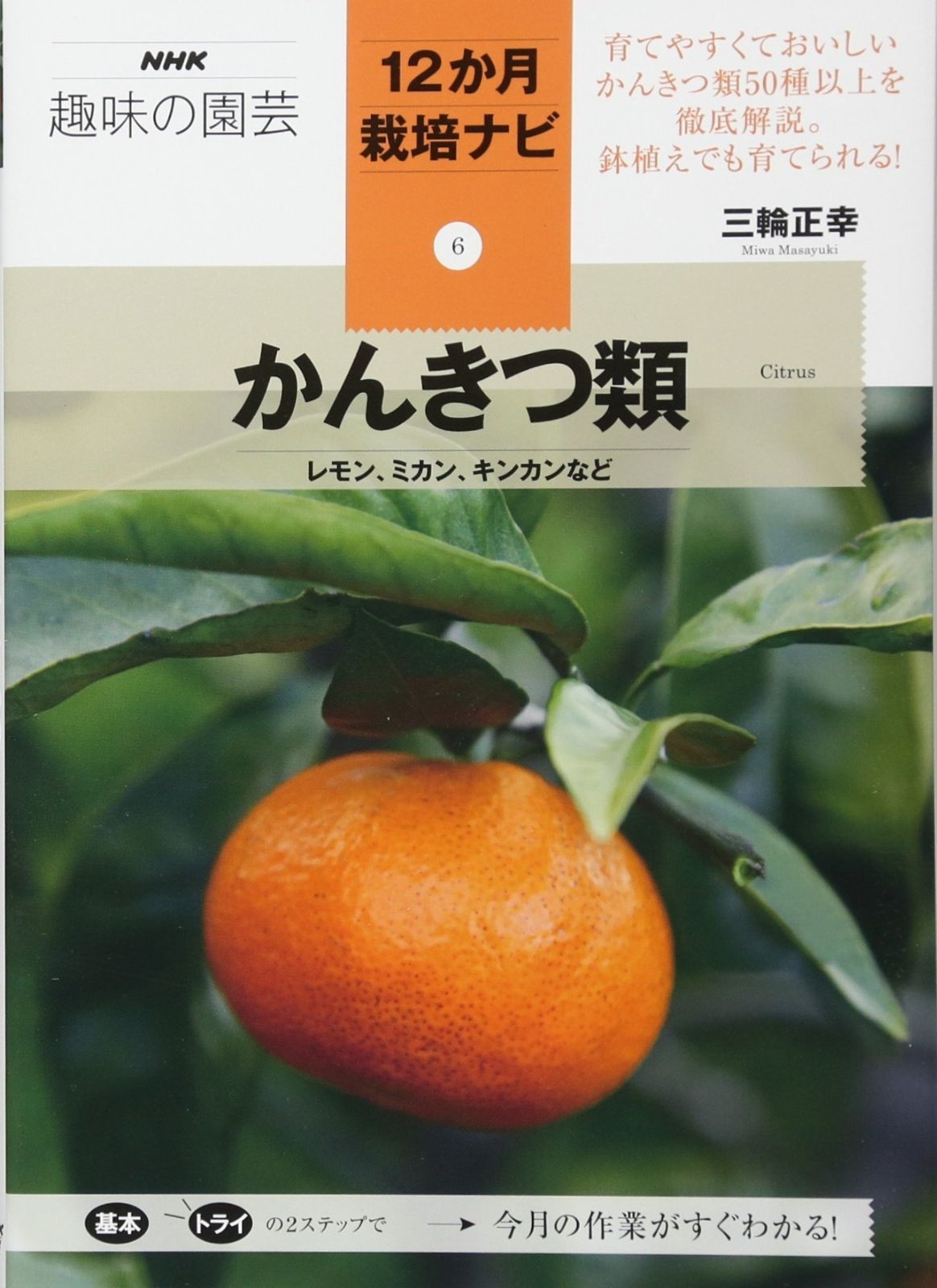 かんきつ類―レモン、ミカン、キンカンなど (NHK趣味の園芸12か月栽培ナビ(6)) かんきつ類 レモン、ミカン NHK趣味の園芸 （nhk趣味の園芸 ⼤⼈気果樹・レモンの栽培を完全ガイド『12か⽉栽培ナビ レモン』1月18