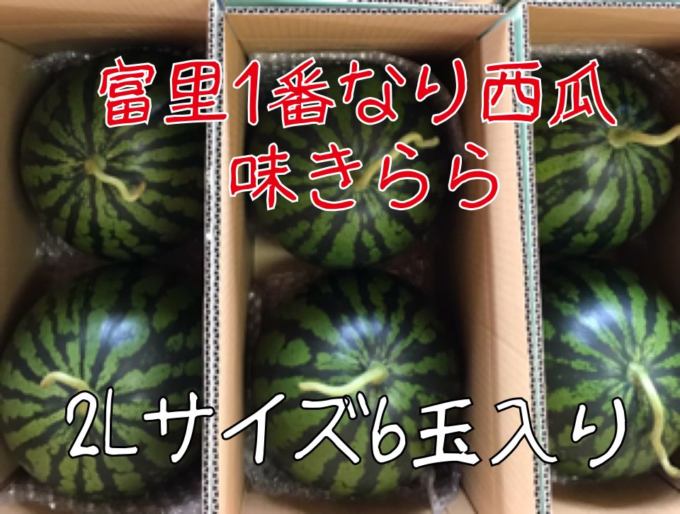 富里1番なりスイカ味きららLサイズ2玉入り 予約販売5月20日頃から発送富里1番なり西瓜品種味きららLサイズ1