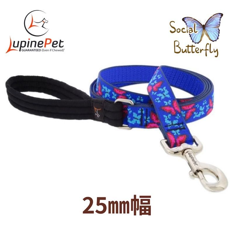 宮内庁御用窯】 山本長左 （木箱入り）5枚揃い 向付け 青華鳳凰紋