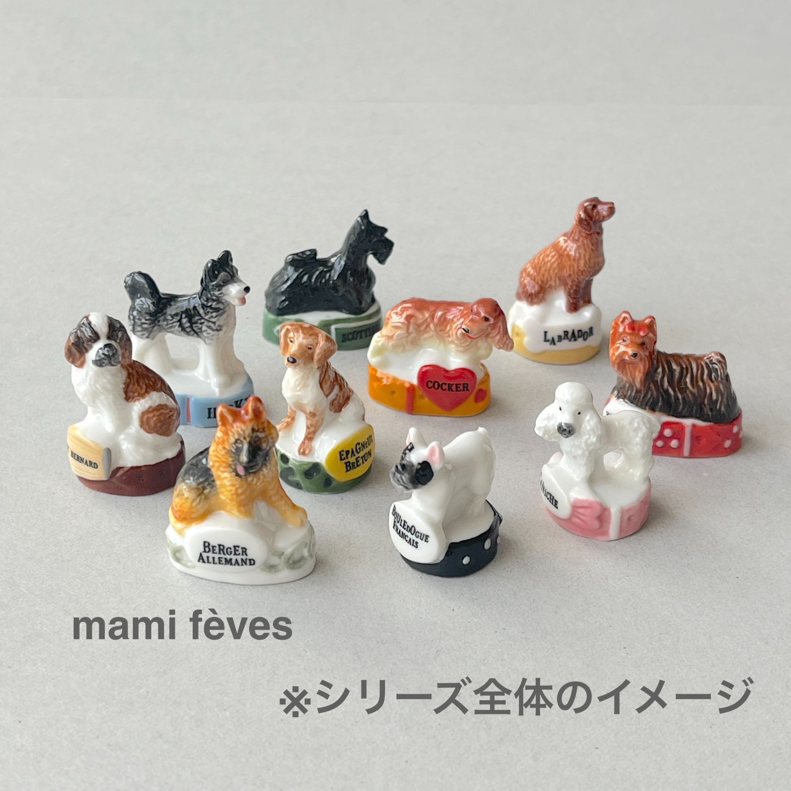フェーヴ スコティッシュテリア 犬たち フランス フェーブ ミニチュア