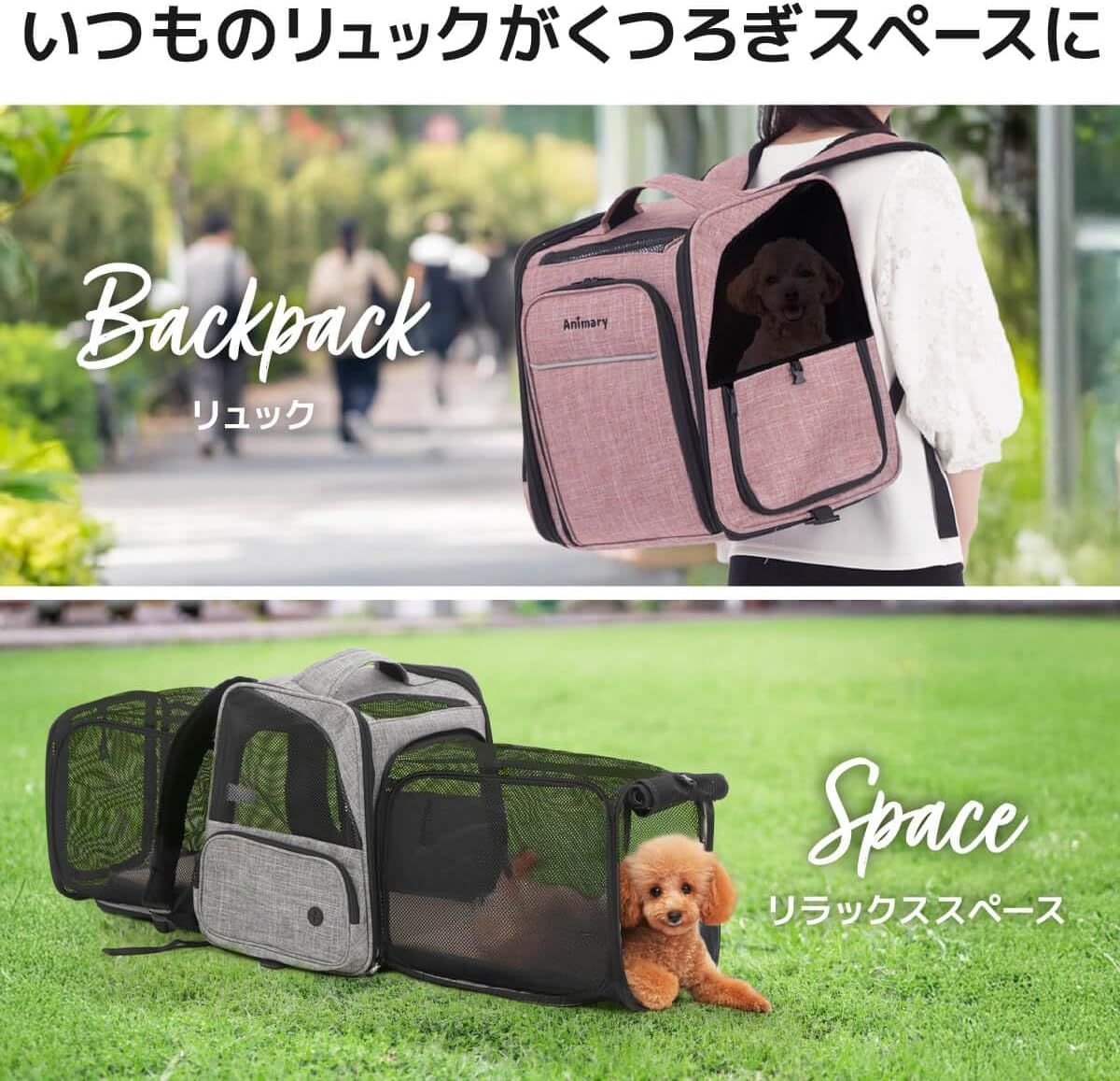 犬