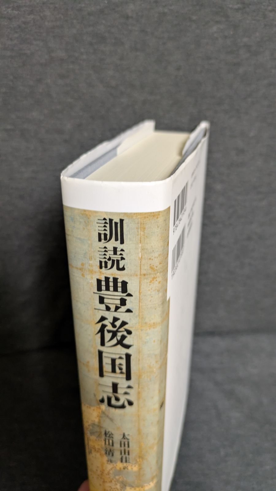 訓読豊後国志