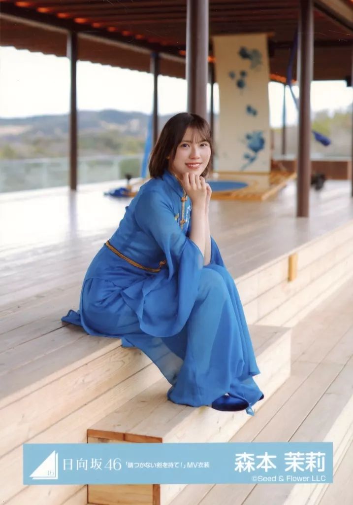 中古】生写真(乃木坂46) 森本茉莉/座り・衣装青/日向坂46ランダム生