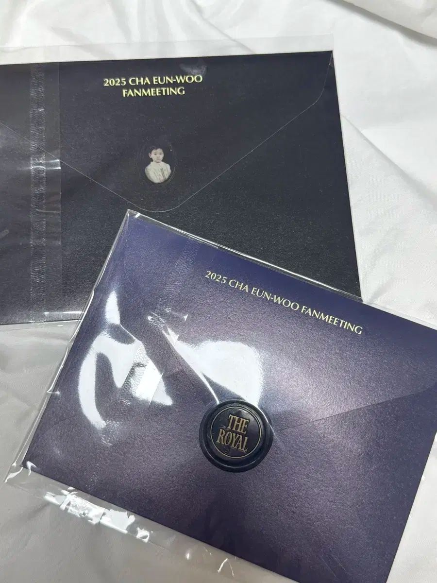 CHA EUNWOO チャウヌ ノベルティグッズ 2025 ファンミーティング CHA EUNWOO チャウヌ ノベルティグッズ 2025 ファンミーティング