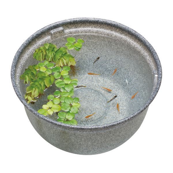 海水魚用品 Kamoer KH Carer Kamoer｜LSS Laboratory 魚用品