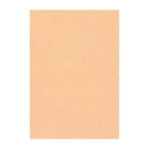 リンテック ニュー Ｒ 8 NCR 103 うすだいだい