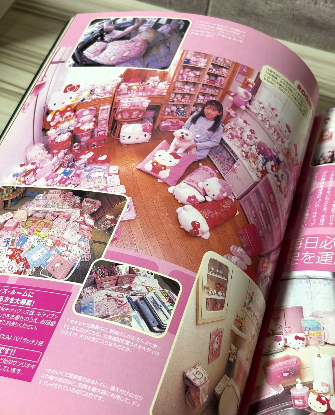 最新キティカタログ　まとめ売り 最新キティ・カタログ Kitty goods collection vol.10 - メルカリ