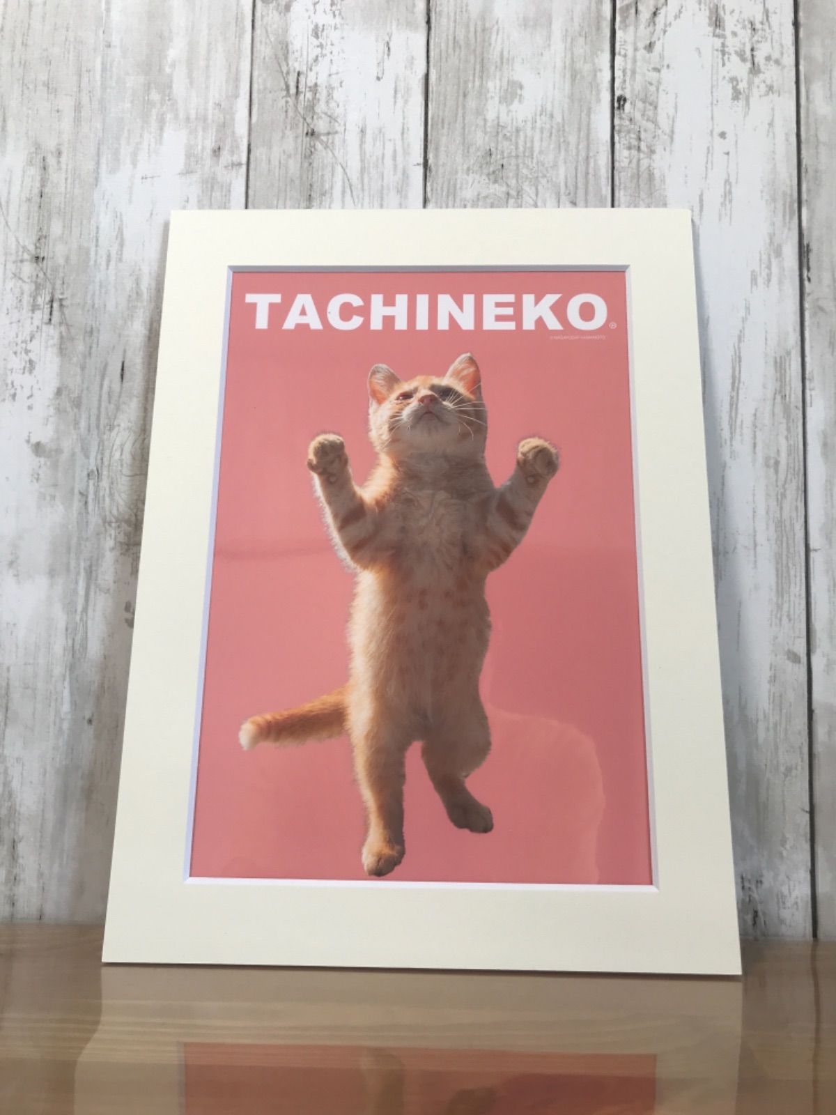 立ち猫　A4サイズ　tachineko 額-0