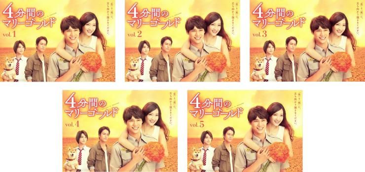 東京湾景 DestinyofLove 仲間由紀恵 DVD全巻完結セット 東京湾景 DestinyofLove 仲間由紀恵 DVD全巻完結セット - メルカリ