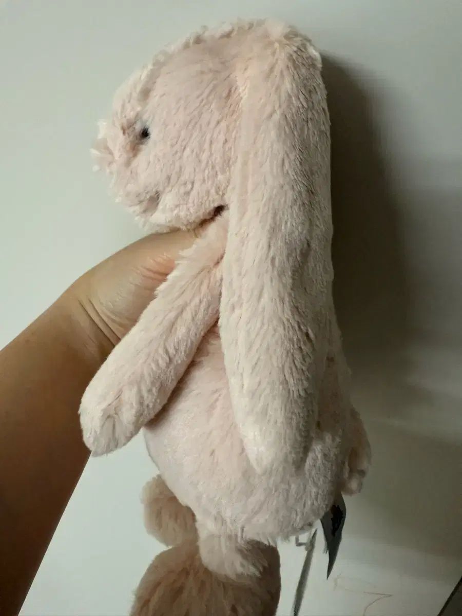 ジェリーキャット