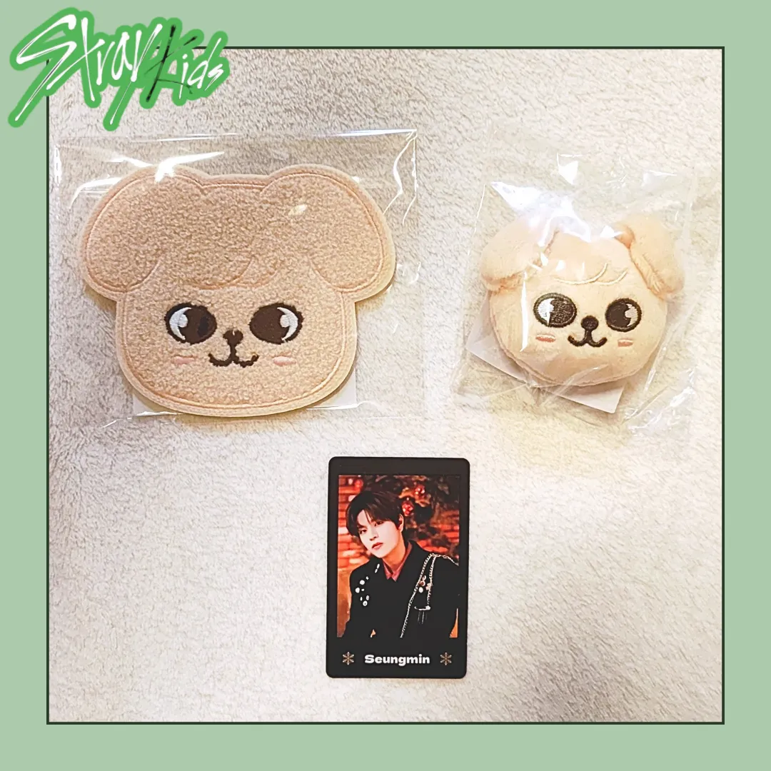 Stray Kids スキズ skzoo サガラ刺繍コースター セット（Stray