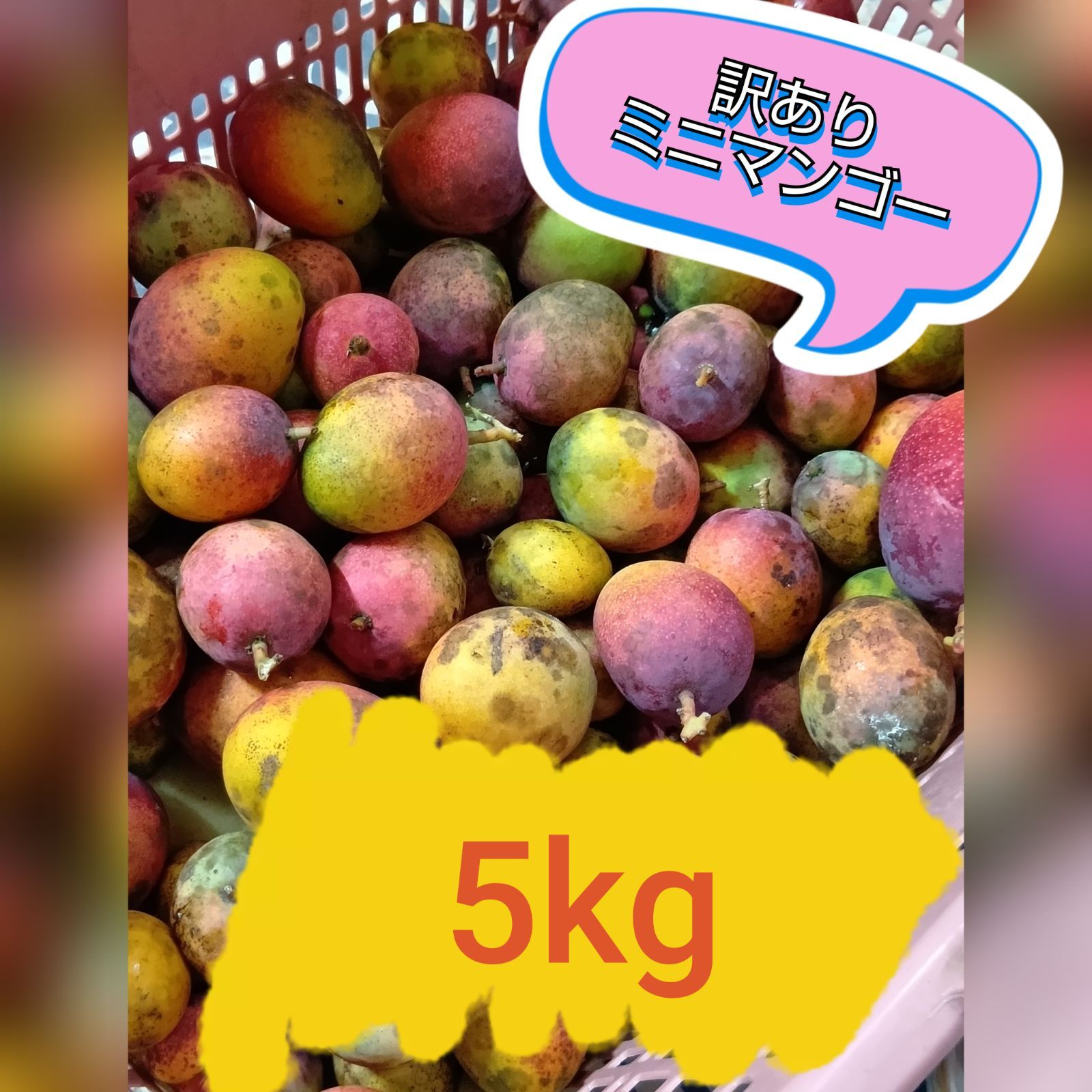 ミニマンゴー5キロ。クール便 ミニマンゴー5キロ。クール便