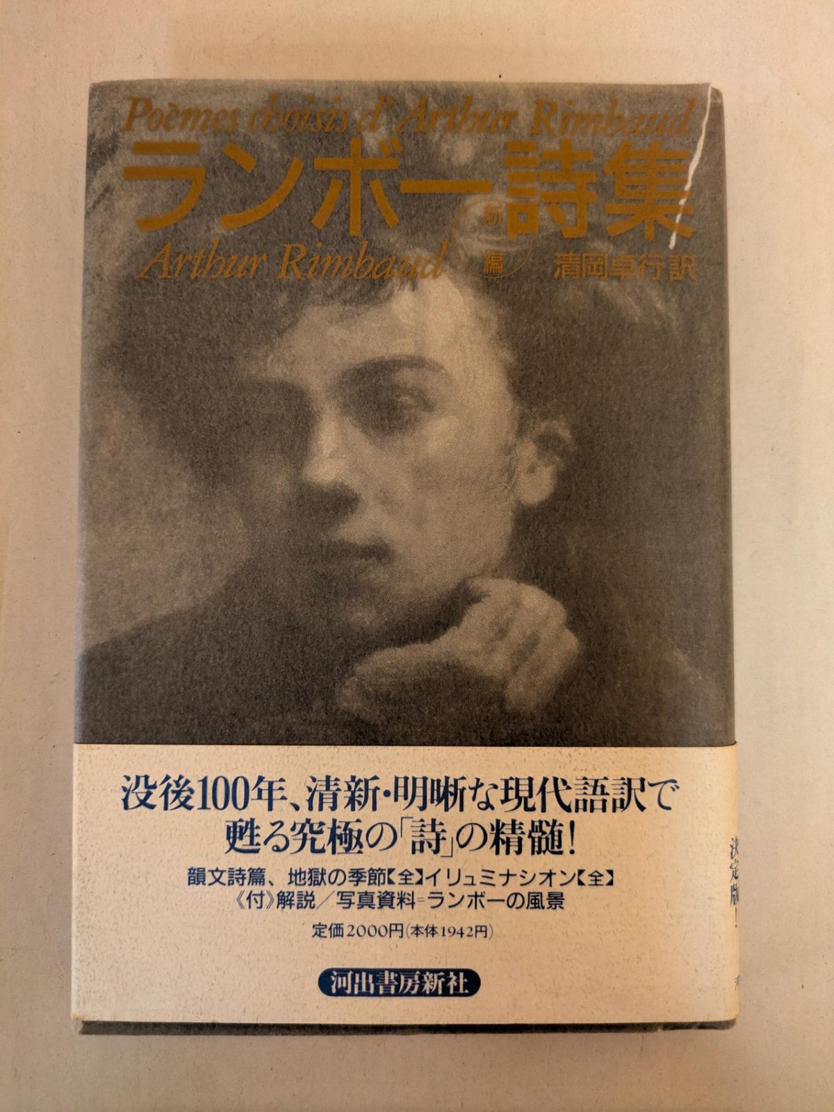 見沢知廉全作品集　アルチュールランボー作品全集映画半チケット額おまけ Amazon.co.jp: ランボー全集 個人新訳 : アルチュール・ランボー