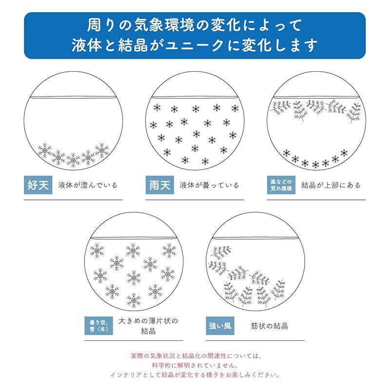 h ×12.5×6cm