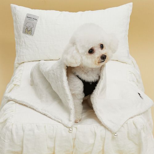louisdog