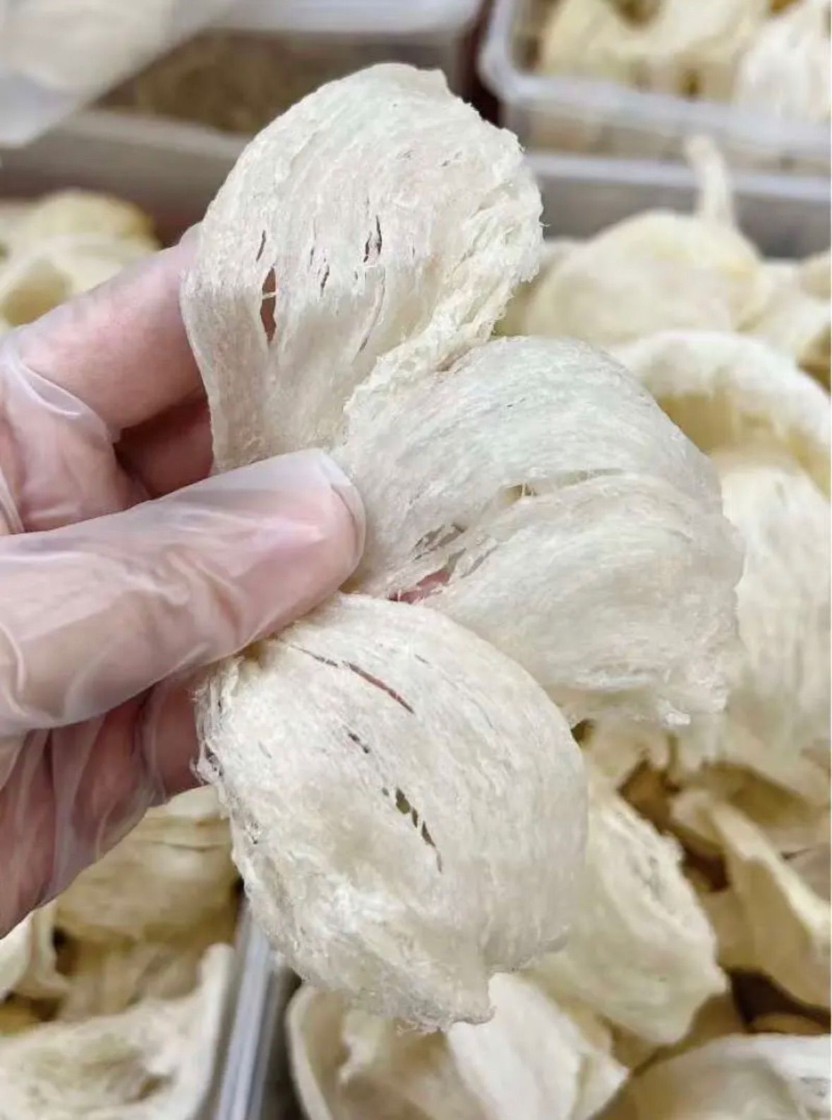 100%天然燕の巣 ツバメの巣 形が整った官燕盏 100g - メルカリ