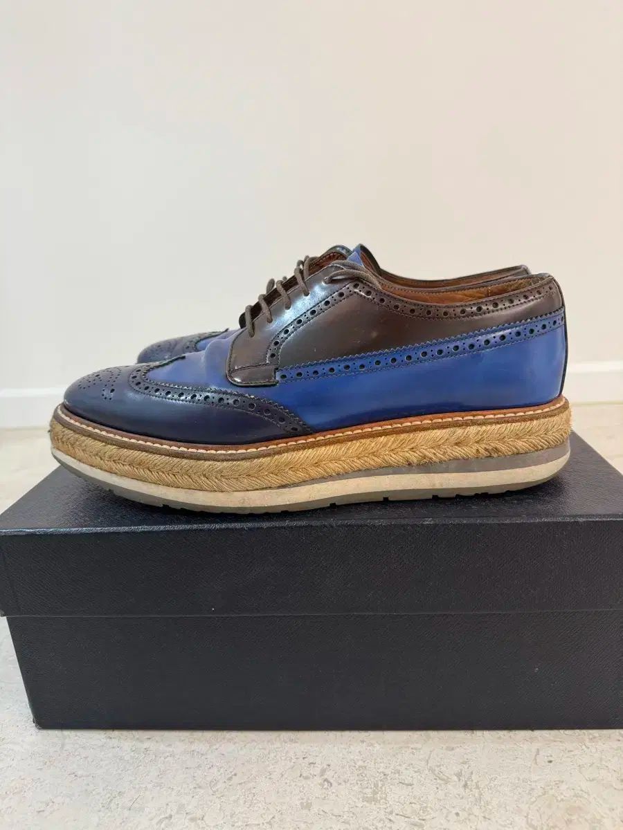 7 275 ー 285 PRADA(プラダ) クリーパー（PRADA (プラダ)を最新相場で 