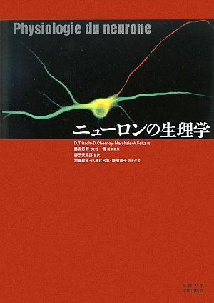 ニューロンの生理学
