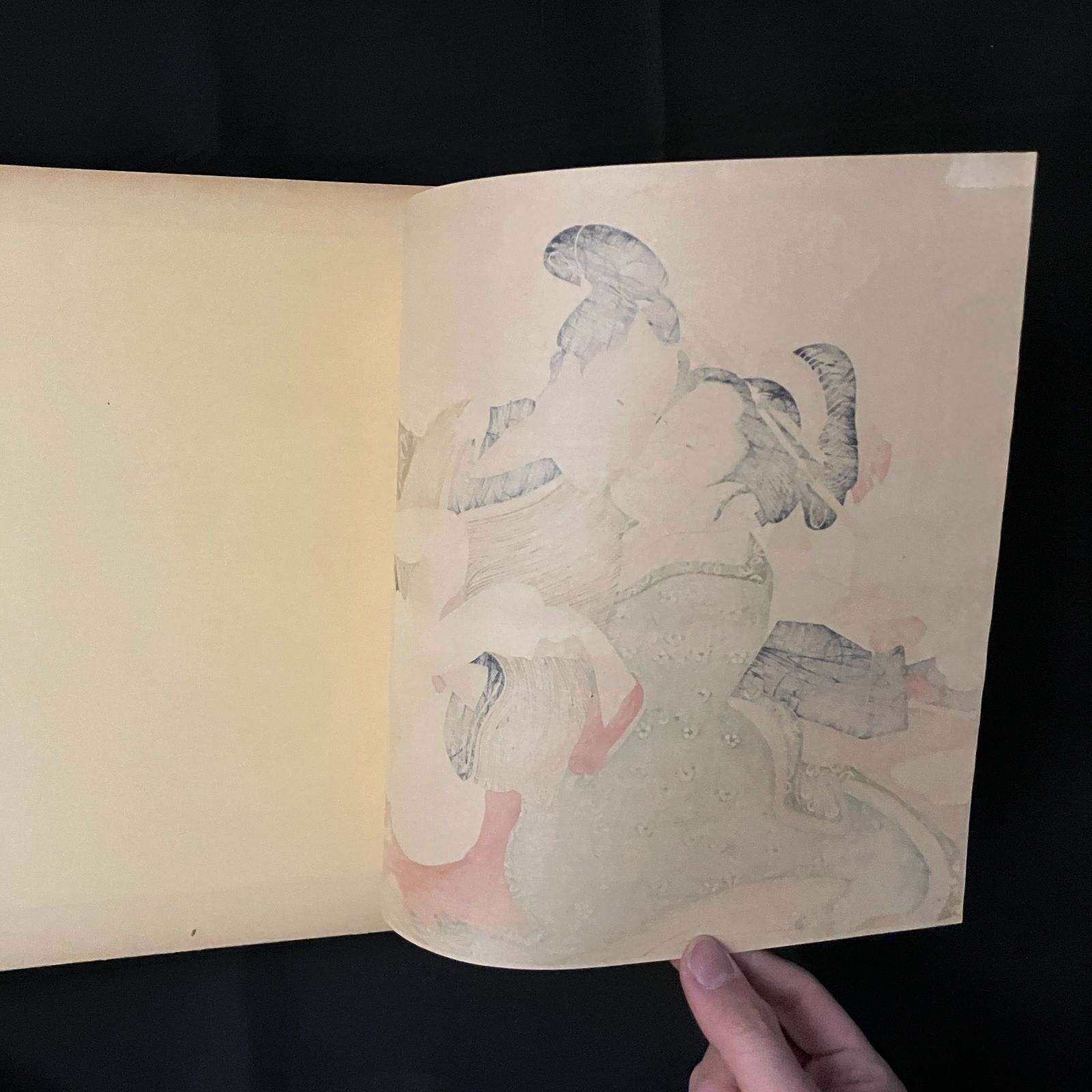 大判 260×382mm