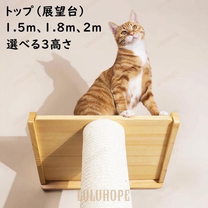 つっぱり