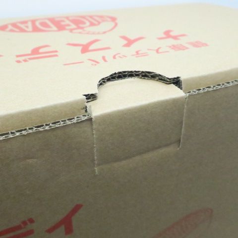 健康ステッパー