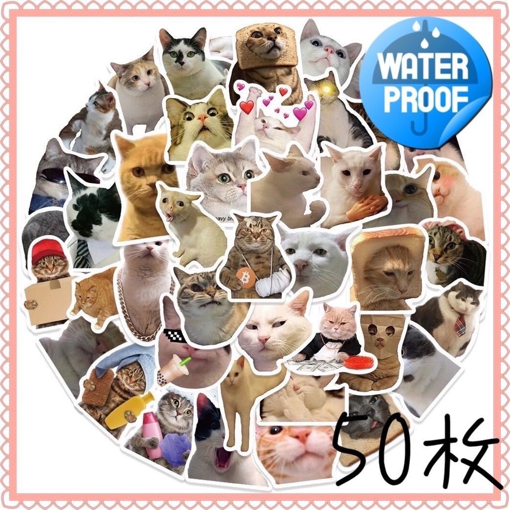 ほっこり♡かわいい！猫さんいっぱいセット1 大きめステッカー 