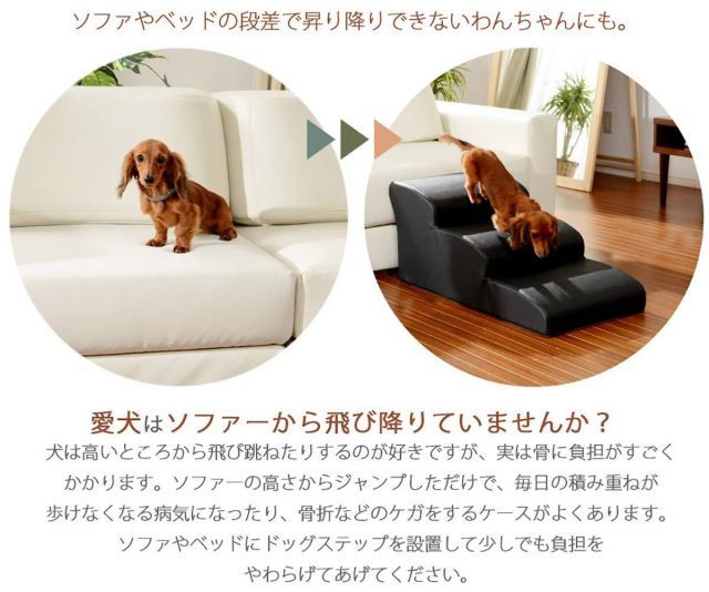 ドッグステップ 4段