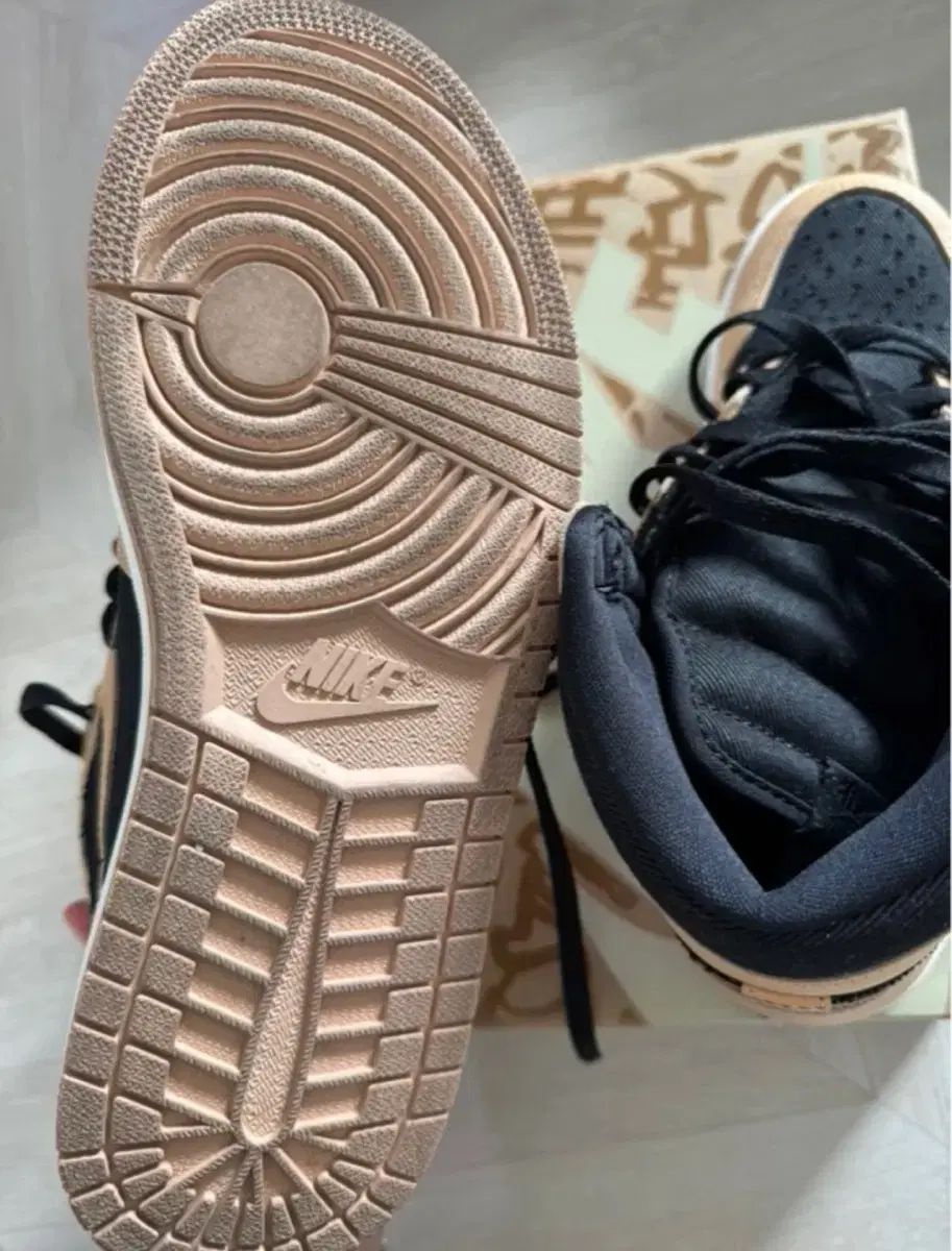 ◇乃木坂46/斉藤飛鳥 卒業 DVD 東京ドーム 完全生産限定盤 豪華版