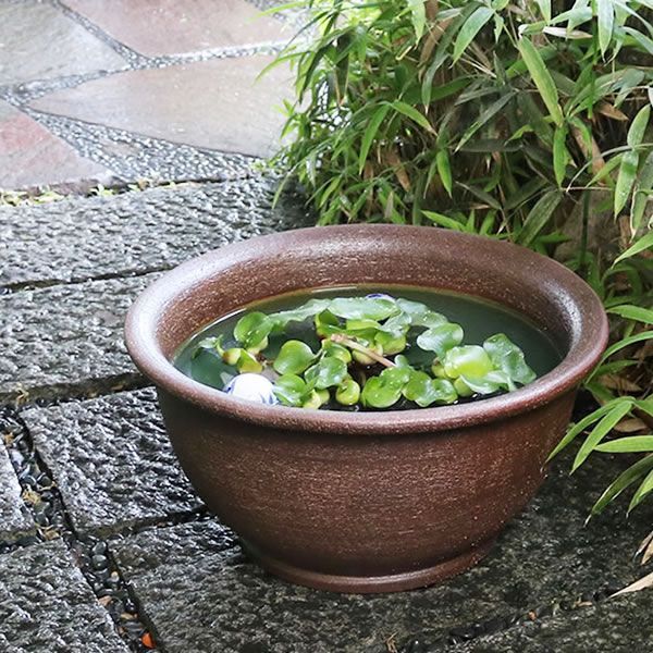 火鉢 【メダカ鉢、金魚鉢、睡蓮鉢に‼️】 水鉢 睡蓮鉢 火鉢 水がめ 水草 メダカ 金魚鉢 庭壺