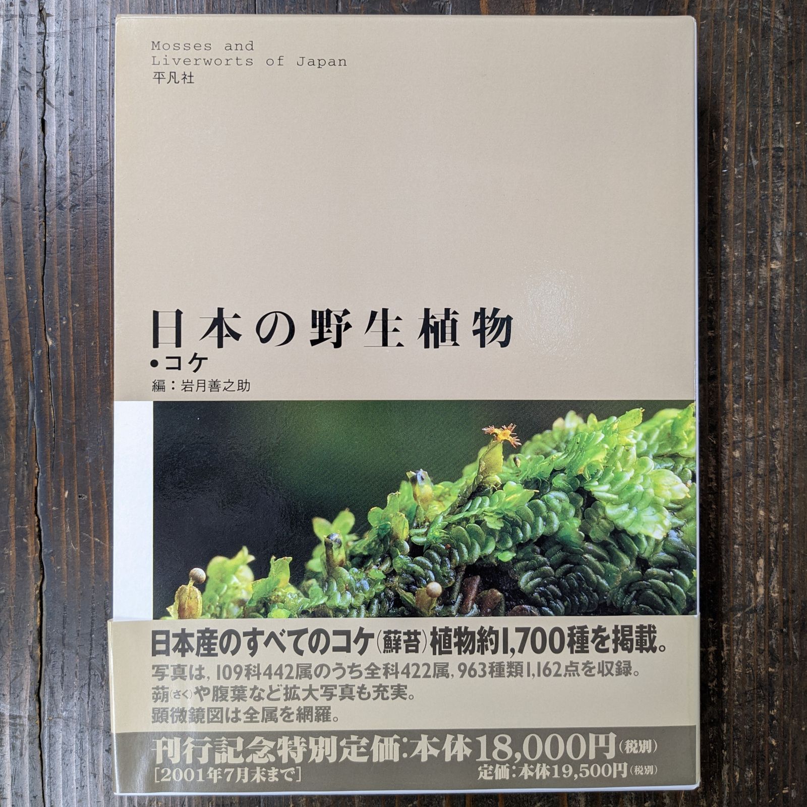 日本の野生植物・コケ趣味/スポーツ/実用