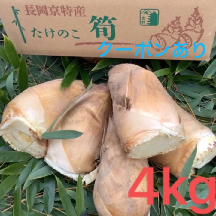 京都府産　無農薬採れたてたけのこ約4キロ　予約販売