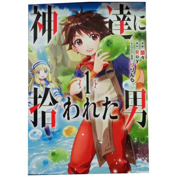Amazon.co.jp: 【電子版限定特典付き】神達に拾われた男13 (HJ